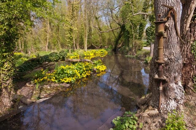 Glebe Pond in Lenham